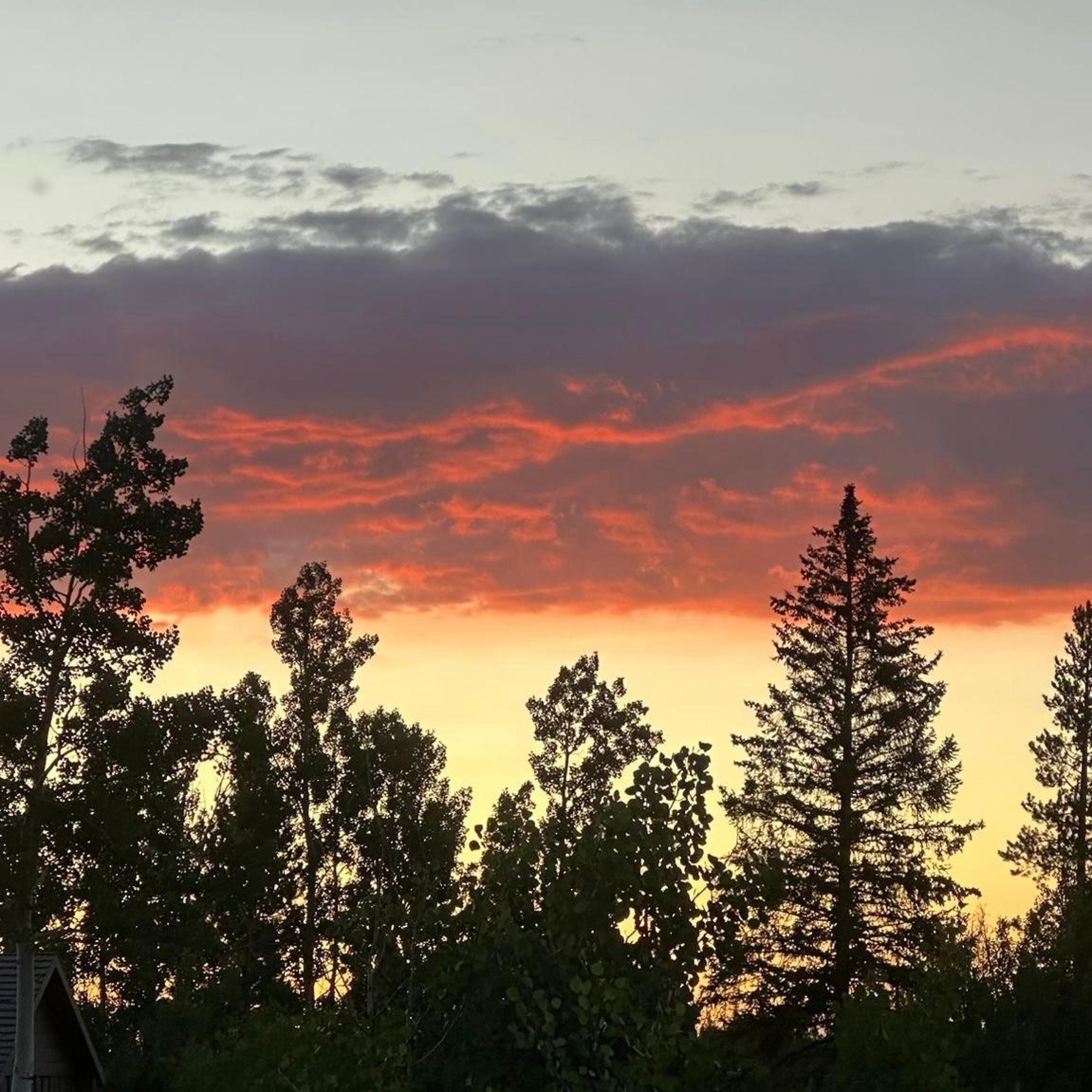 Genosky - Long Way Home