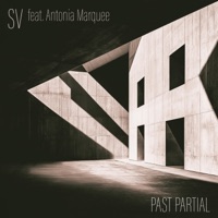 Past Partial (feat. Antonia Marquee) - SV