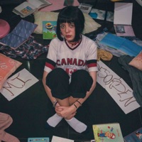 Mi desorden - Single - Diana Meril