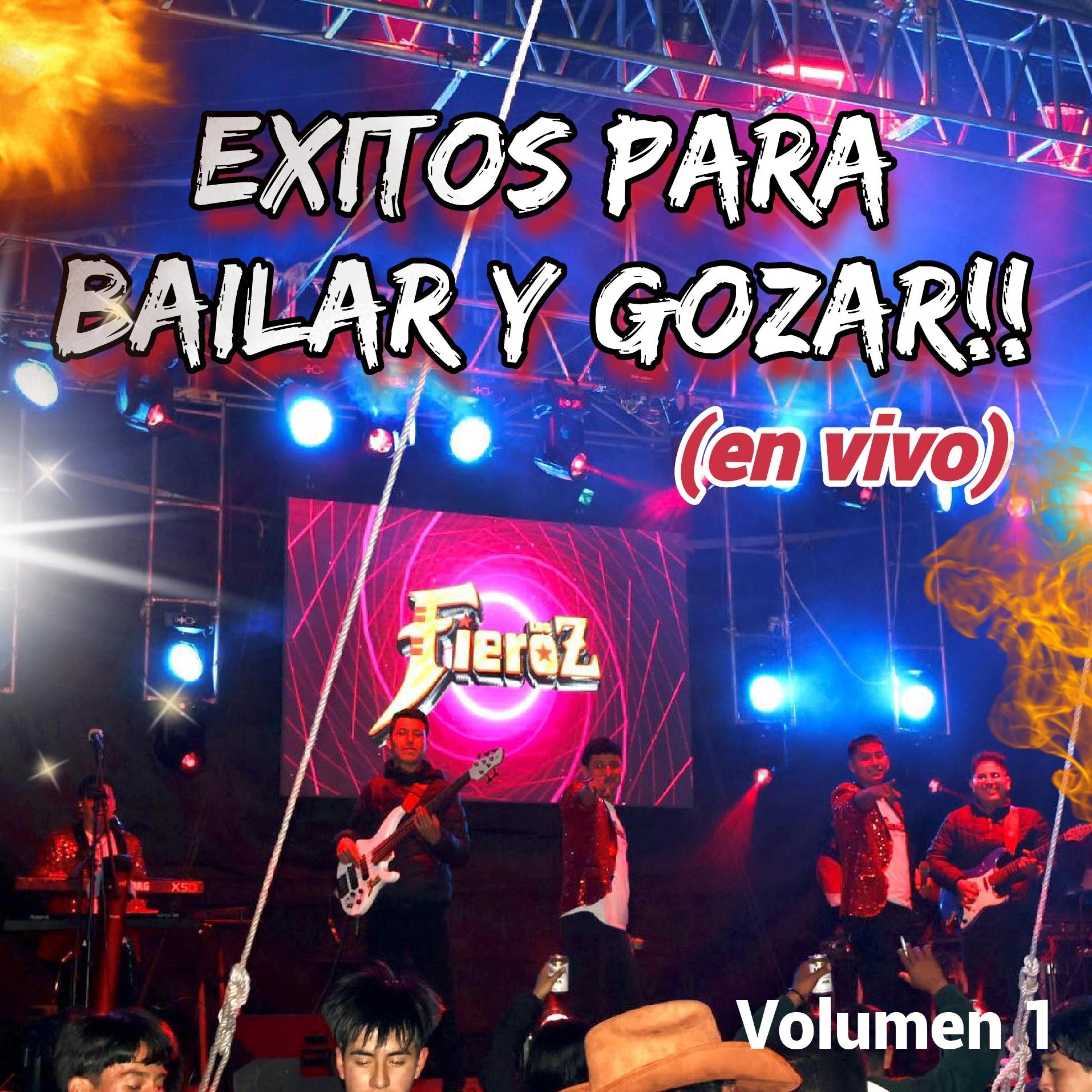 EXITOS (EN VIVO), Vol. 1