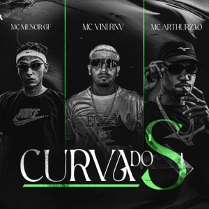 Curva do S (feat. Dj Gui de Novo & S3TH)