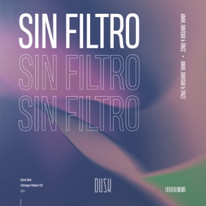 SIN FILTRO (Extended Mix)
