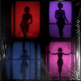 ~ COMPANY ~ slowed & reverb. Flyy Armani, JLLY & J Cream