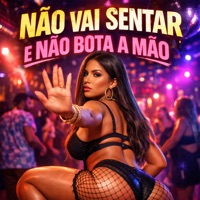Não Vai Sentar e Não Bota a Mão - Single - Mc Lysa, DJ Biel do Furduncinho & Dj Mael Silva