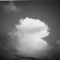 Lione - Drifting Shade lyrics