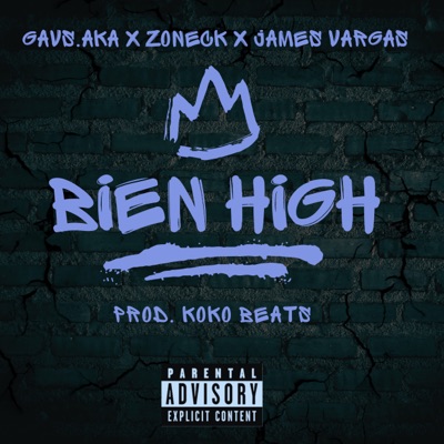 Bien High (feat. James Vargas & Zoneck) - Single