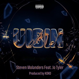 Vibin Steven Molanders