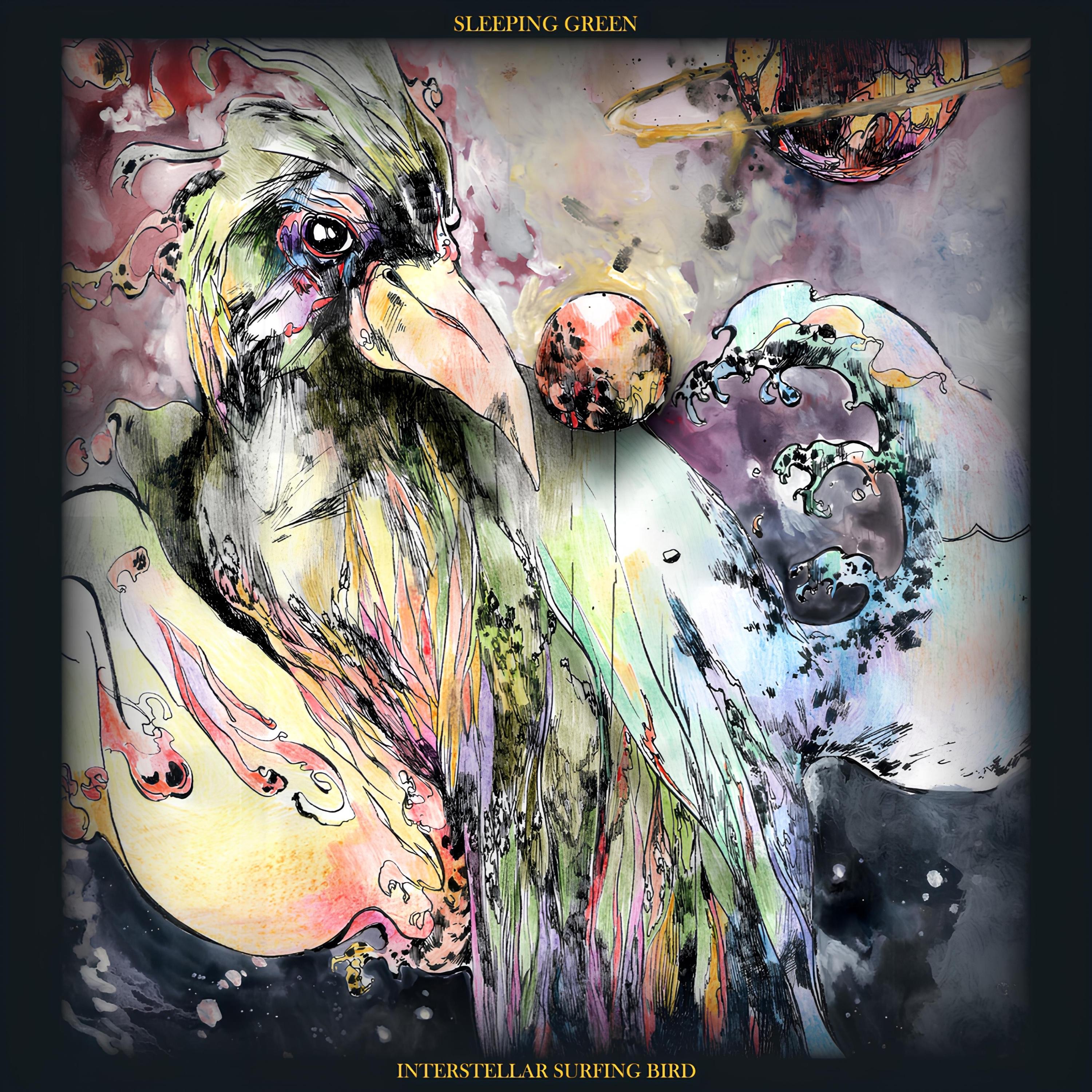 Interstellar Surfing Bird