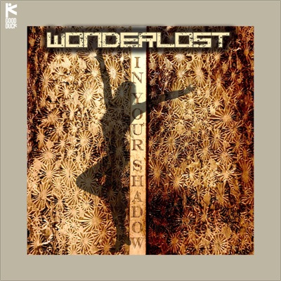 In Your Shadow (feat. Tyler Perrino & Aaron Strickland) - Single