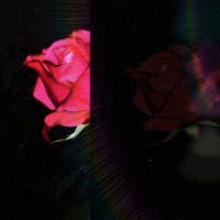 Flower - Single - YOSHIKI EZAKI