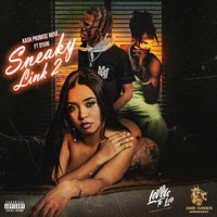 Sneaky Link 2 (feat. D'yani) - Single - Kash Promise Move