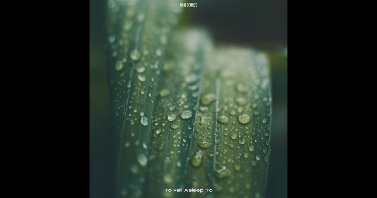 To Fall Asleep To - Rain Sounds