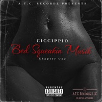 Bed Squeakin Musik - Ciccippio