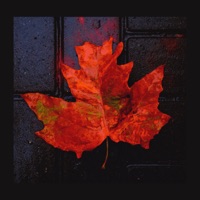 Japyraq - Single - Izzamuzzic, Janbyr & Абишев