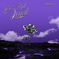 Toxic But Loyal - Single - Shinzu