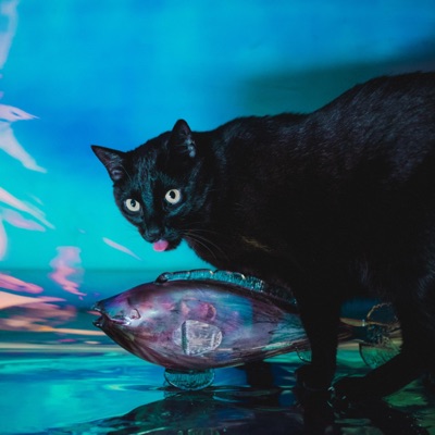 Ćśśś (feat. Ola Górka) - Single