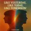 Like Yesterday, Like Today, Like Tomorrow