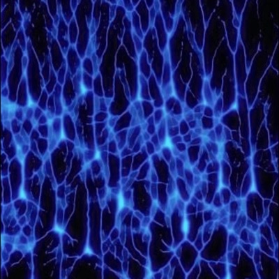 Automatic 21 - Single