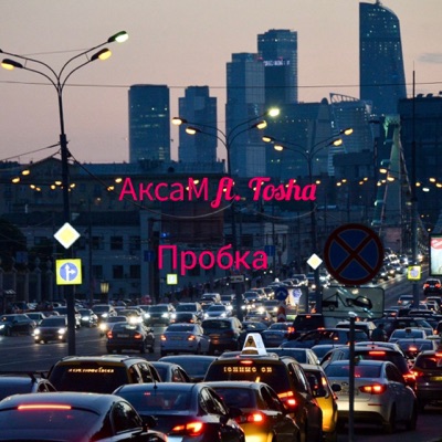 Пробка (feat. Tosha) - Single