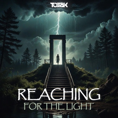 Reaching For The Light - Single