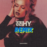 WHY (feat. Sasha Keable) [Remix] - Single - Rent 