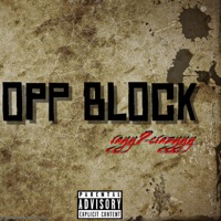 Rayy2crazyy-OPP BLOCK - Single - Rayy2Crazyy