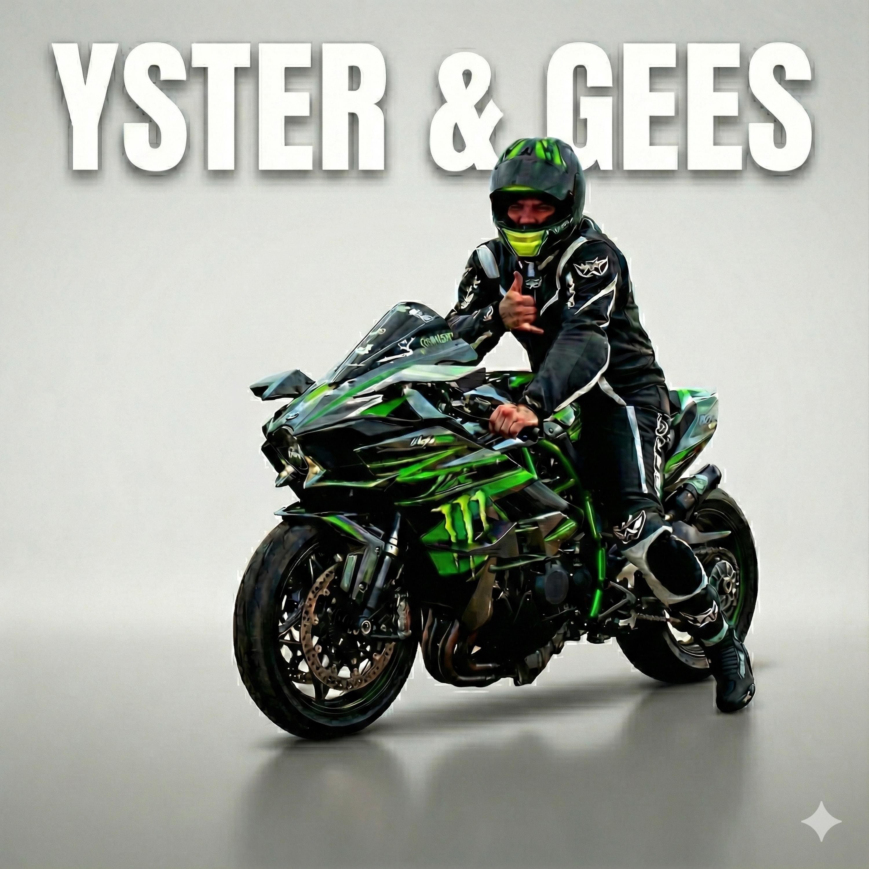 YSTER EN GEES - Single