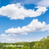 Csendben állok — Csiszér László