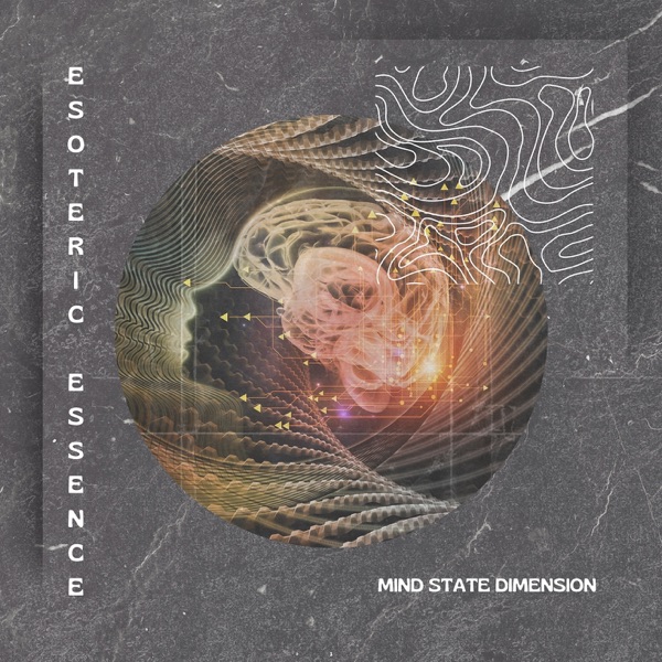 Mind State Dimension