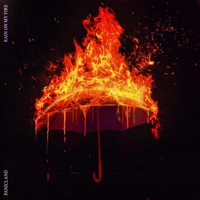 Rain on My Fire - Single - Panicland