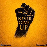Never Give Up (feat. Damzel) - Single - Benson
