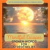 Mindful Escapes: Spoken Words for Stress Relief