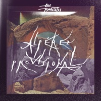 Alferez Provisional - Single - Los Punsetes