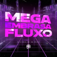 Mega Embrasa Fluxo - Single - dj tl sheik & MC GW
