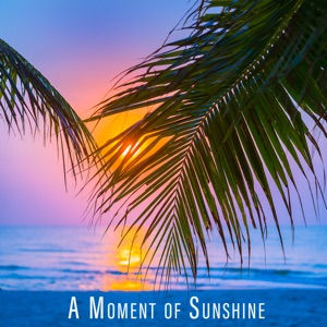 A Moment of Sunshine