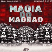 Magia do Magrão - Single - dj pablinho zs, MC BF & MC Vn Cria