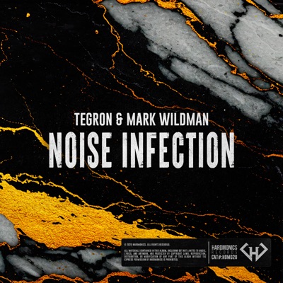 Noise Infection - Single