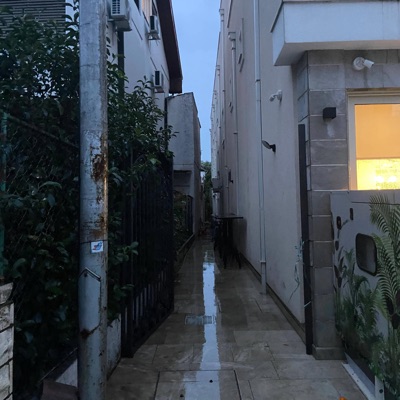 No cap (feat. Damnpier) - Single