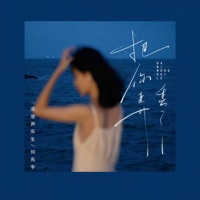 把你弄丢了 - Single - 刘兆宇 & 流浪声乐生