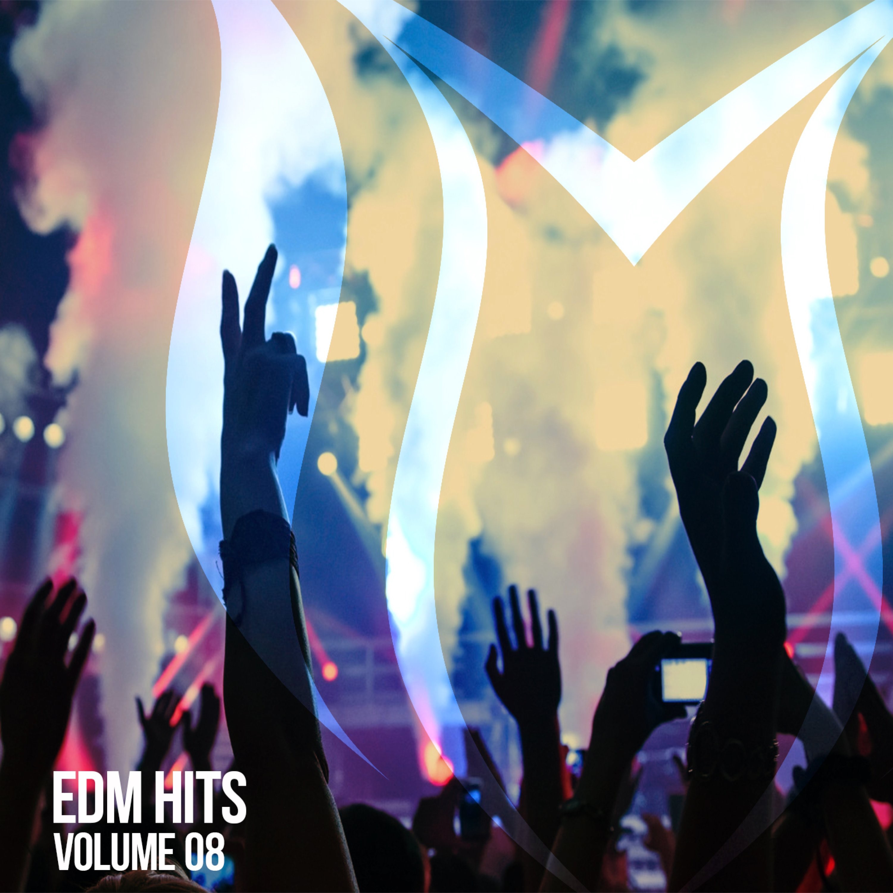 EDM Hits, Vol. 8