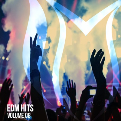EDM Hits, Vol. 8
