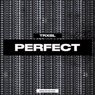 Perfect - Single