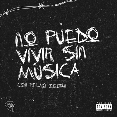 No Puedo Vivir Sin Música (feat. PelaoZoltan) - Single