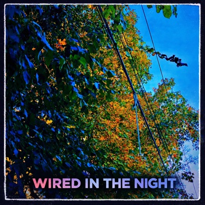 Wired In The Night - Single