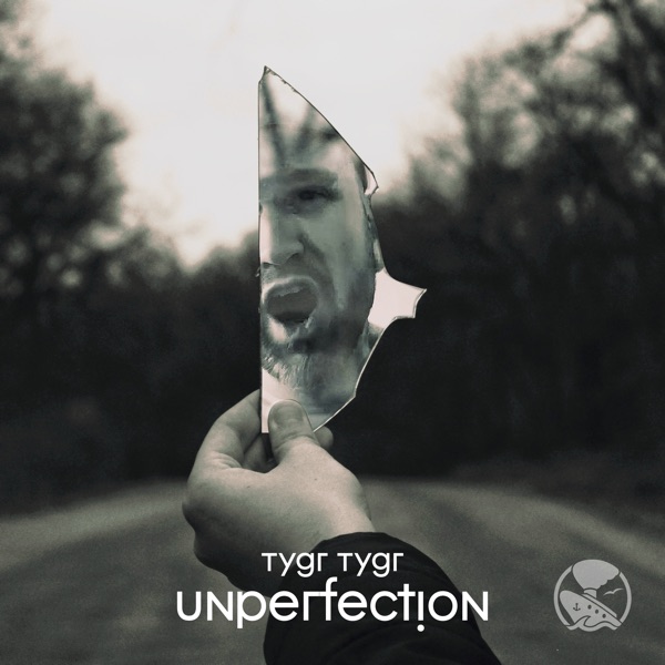 Unperfection - Single