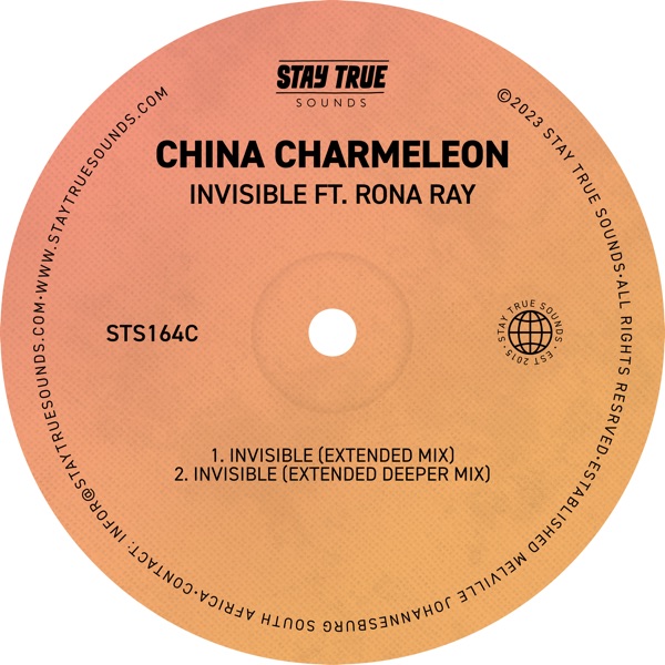 Invisible (feat. Rona Ray) - Single