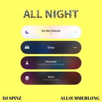 All Night - Single - DJ Spinz & ALLSUMMERLONG