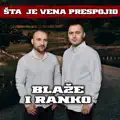 Sta je vena prespojio
