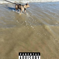 Off the leash (feat. Scrim47) - Single - Joemoee47