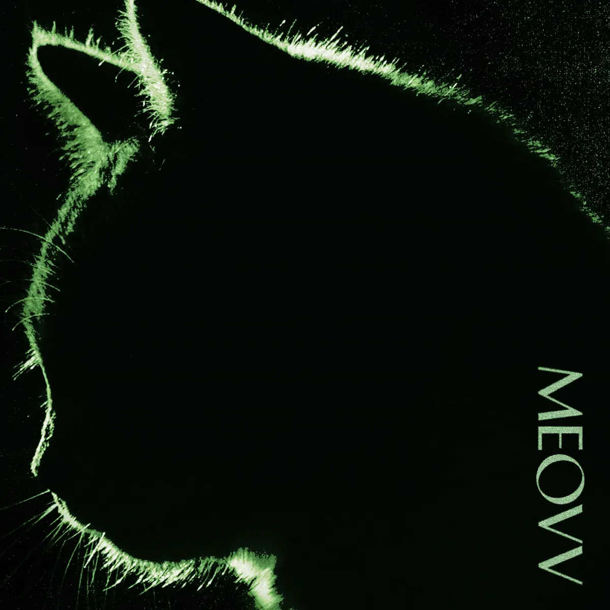 MEOVV - TOXIC - Single (2024) [iTunes Plus AAC M4A]-新房子